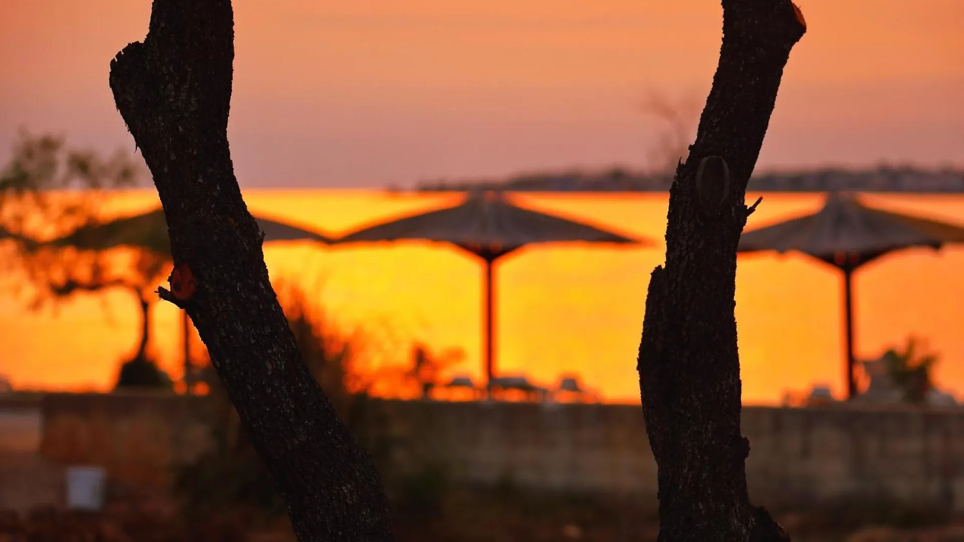 Villa Zatonka Royal Zaton   Zaton (Zadar)